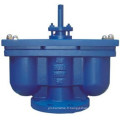 Valve d&#39;air double fonction en fonte ductile